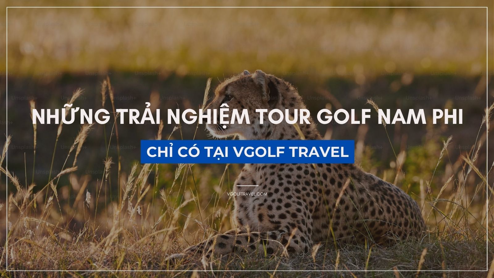 Fact: Những trải nghiệm tour golf Nam Phi chỉ có tại VGolf Travel