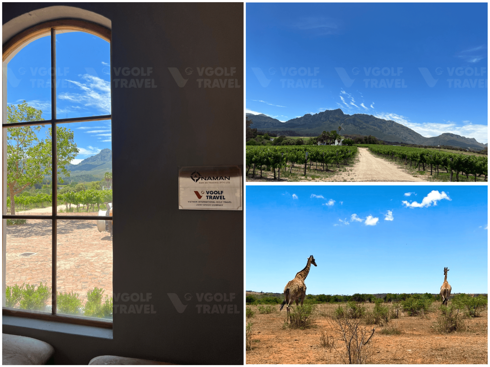 Đoàn khách đầu tiên trải nghiệm HST du lịch tại Nam Phi của VGolf Travel